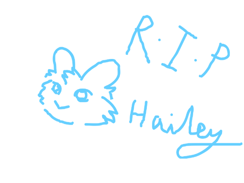 RIP Hailey </3