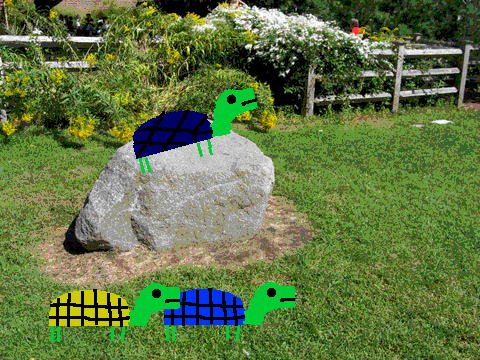 Yurtle the Turtle