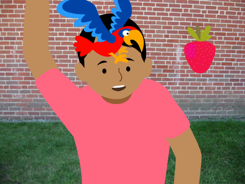 Face Sensing Game