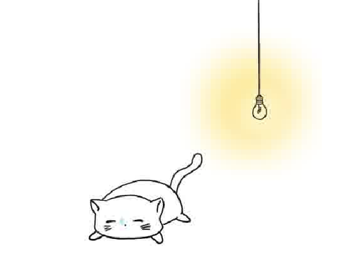 Animation ~ Cat