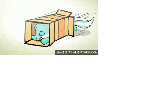 Trixie sliding into a box