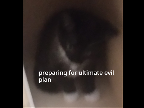 :)