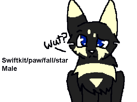 Swiftstar's Past Auditions remix