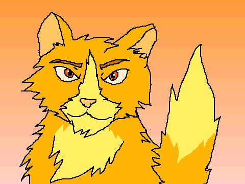 Should I Start an Animated Cat Series?