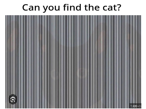 Illusions