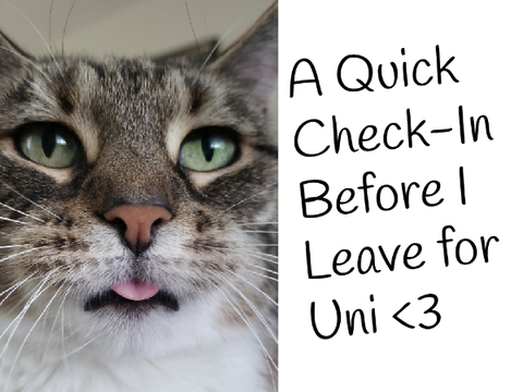 A Quick Check-In