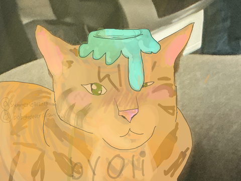 ✿ (8) Mango!!!