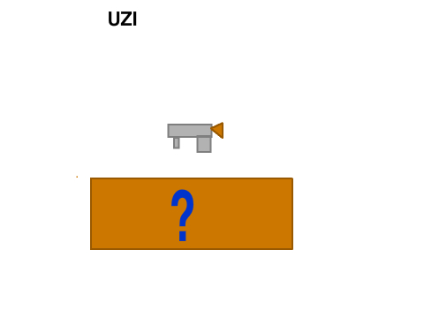 Call of Duty- Random Box