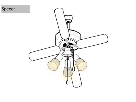 Spectrum fan co newton