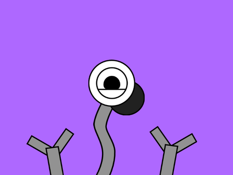 hi