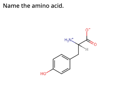 Amino Acids