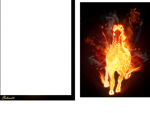 Fire Horse