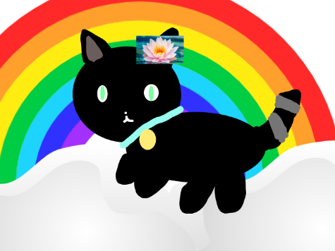Can you please name my cat