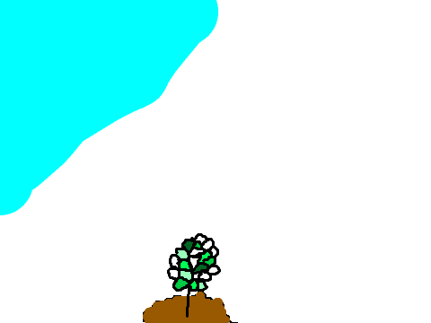Animation Test
