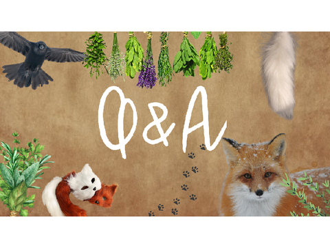 20 questions for otherpaws and alterhumans! {otherpaw}