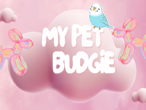 My Pet Budgie 