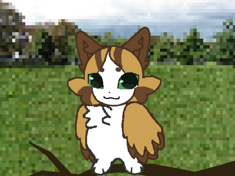 meowl meme