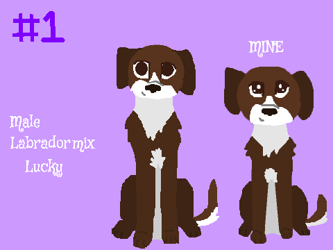 Dog adopts  ENDS ON >10/15/2016< remix