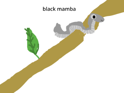 the type of snek i would be if i wus snek