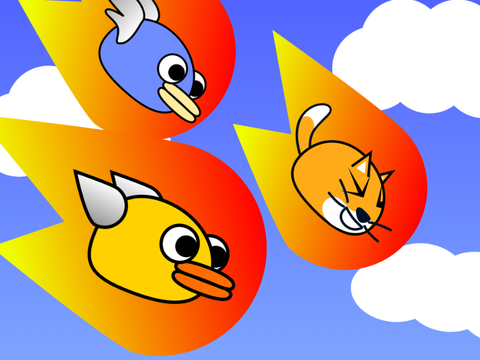 Bird Starterpack