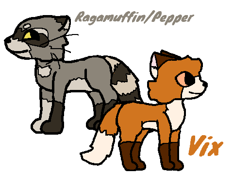 new ocs