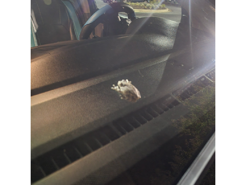 sir this is not your uber