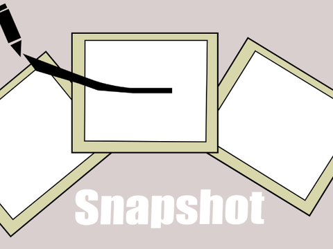 Snapshot v0.2