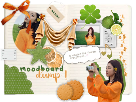 moodboard dump !! ♪ ｡