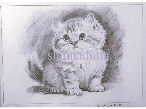 For @Ilovecatsandmice