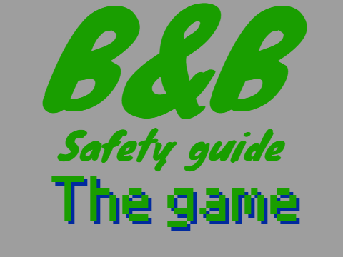 B&B safety project