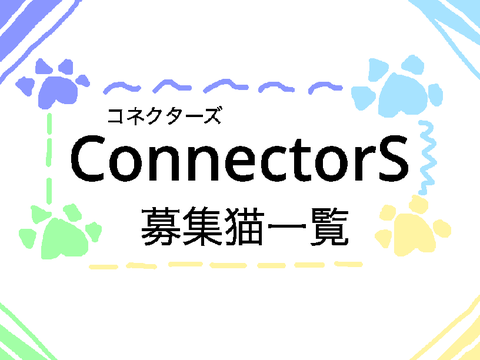 募集猫の本設定！