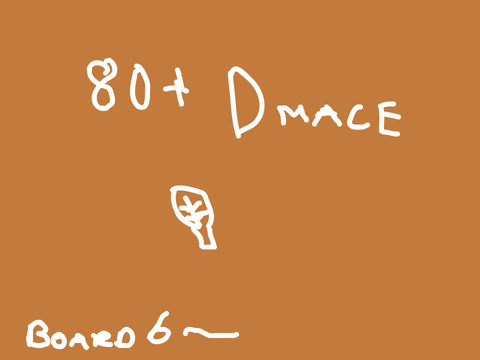 80 + followers DMACE