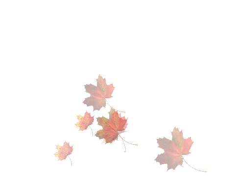 Fall
