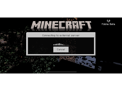 MINECRAFT WHAT HAPPENED