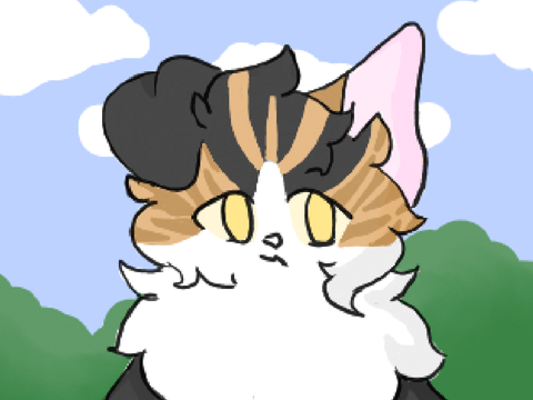 ₊˚⊹ ☼ calico cat . . . art