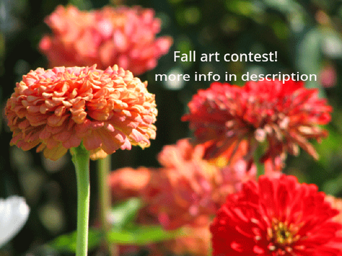 Fall Art Contest! (Open) 2025 remix
