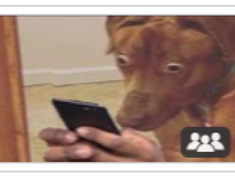 POV: me checking for new message on scratch remix-2