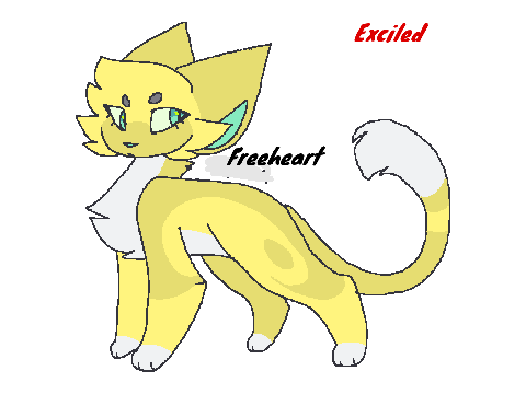 all of dawnclan