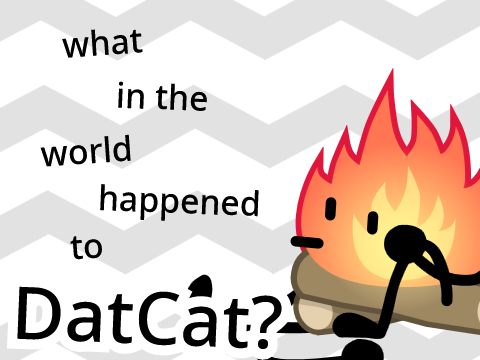 what in the world happened to DatCat?
