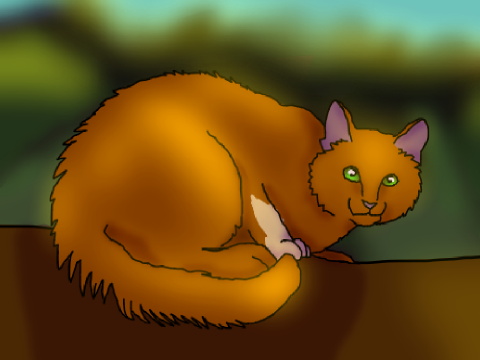 Another cat drawing