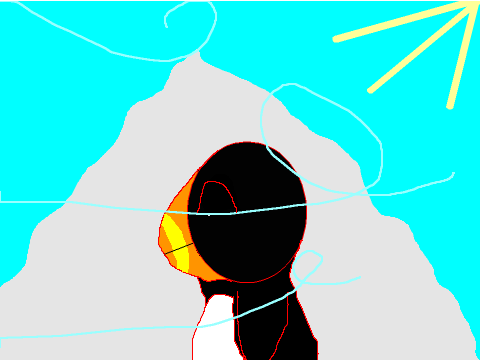 Puffin