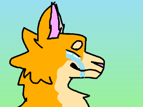 Sorry for not being active
