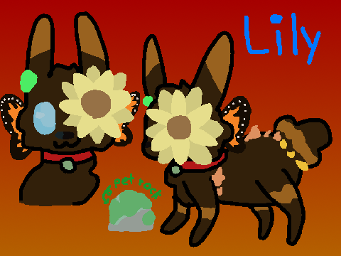 Lily's Meadow