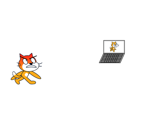 what is scratch cat waffling about