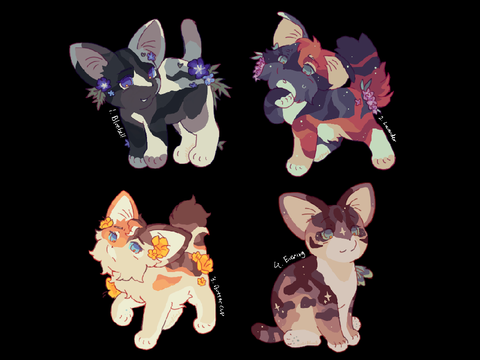 (2/4 open) kibby adopt batch