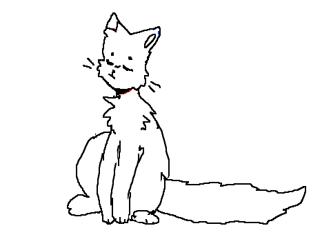 sassy cat animation test