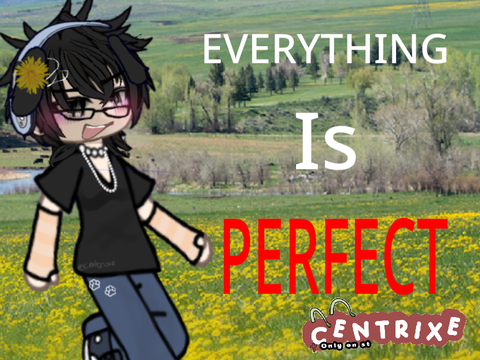 Everything is perfect ‼️