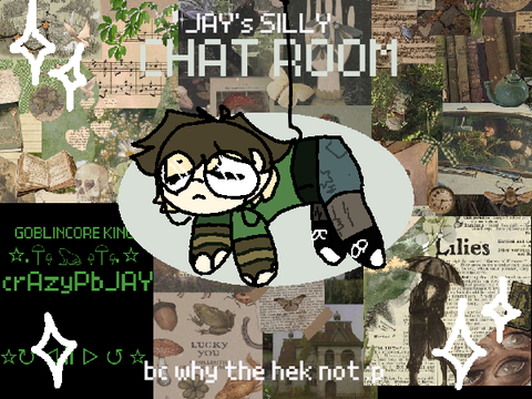 ☾✧ ᑕᕼᗩ丅ᖇᗝᗝᗰ ✧☽