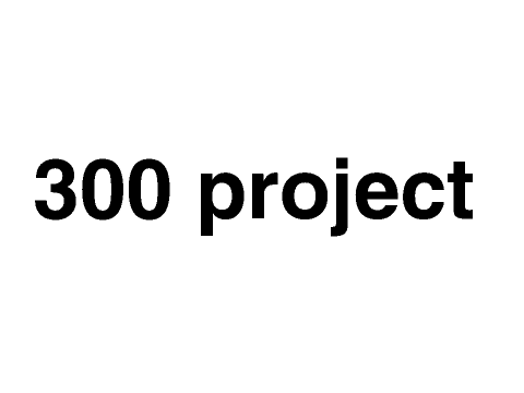 300 project
