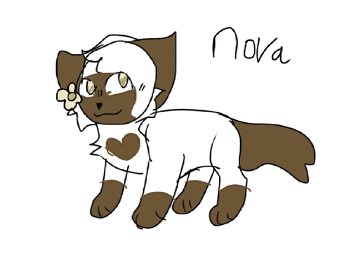 Nova ref ^^